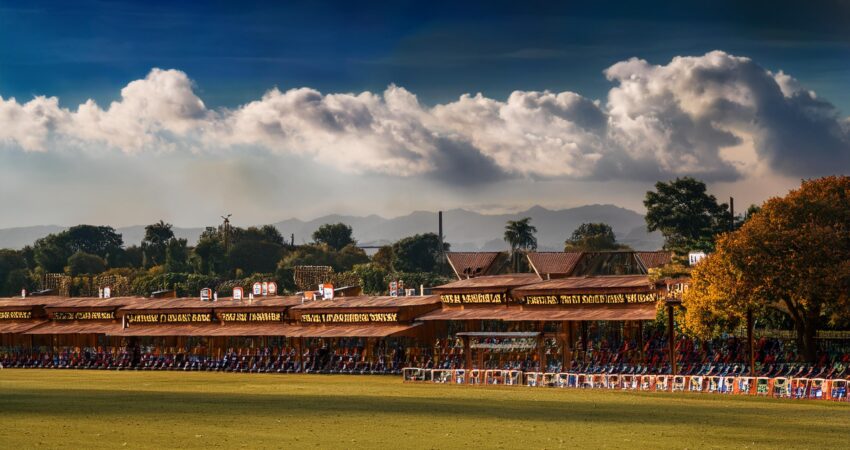 How an Online Cricket ID Works: Features, Access and Support Guide