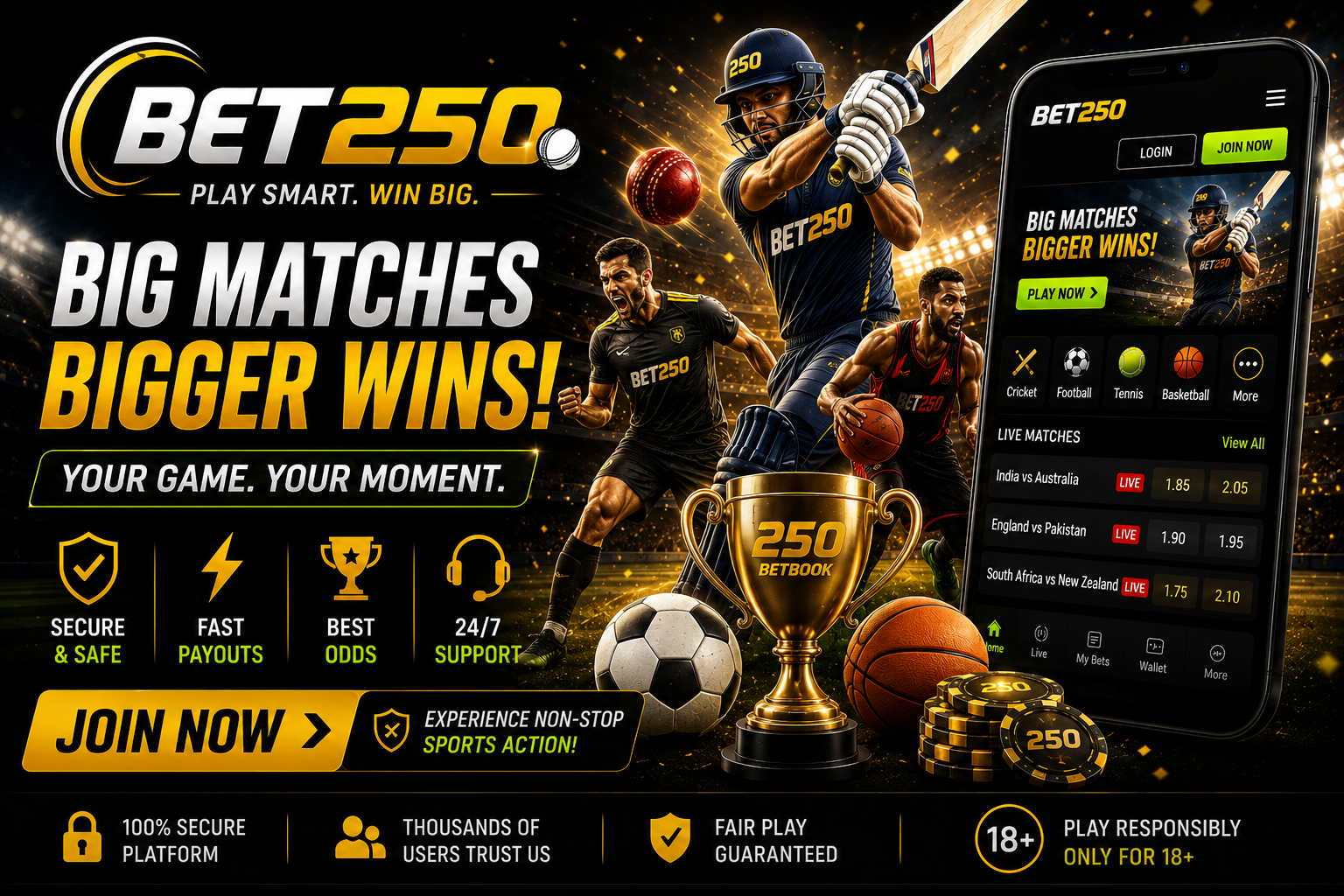 IPL Satta vs Betbook250 – Features, Access & User Experience